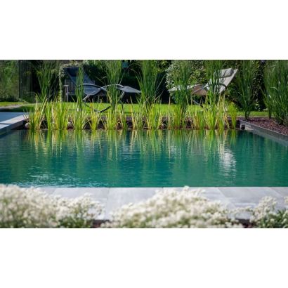 Grupo filtracin de piscina: TIPO IV: Transparente