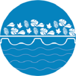 debris-prevention-icon-geo-logo-colours-1-1